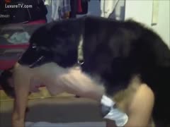 Skinny pure-breasted aged slut screwed by a dog